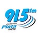 Plata 91.5 FM - XHZTS Logo