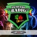 TicoVybz Radio Logo