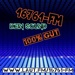 16761-fm Logo