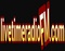 LivetimeRadioFM Logo