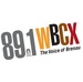 89.1 WBCX - WBCX Logo