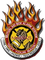 Pekin & Schaeferville, IL Fire (MABAS) Logo