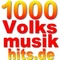 1000 Webradios - 1000 Volksmusikhits Logo