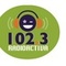 102.3 Radioactiva Logo