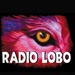 Radio Lobo 97.7/102.9 - KLVO Logo