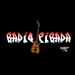 Radio Pirada Logo