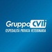 Radio GruppoCVIT Logo