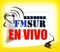 FM Sur Stereo 93.3 Logo