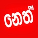 Neth FM Logo