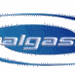 Auralgasms Radio Logo