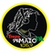 Treze de Maio Fm Logo