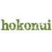 Hokonui Southland Logo