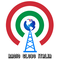 Radio Globo Italia Logo