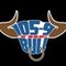 105.9 The Bull - KSTN Logo