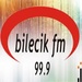 Bilecik FM Logo