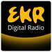 EKR - Oldies Paradise Logo