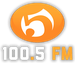 Punto 5 FM 100.5 Logo