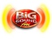 BiG SOUND fm - DWAA Logo