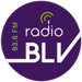 Radio BLV Logo