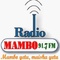 Radio Mambo 91.7 FM Logo