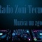 Radio Zoni Manele Logo