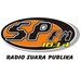 Radio SPFM Palu Logo