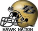 PG Hawk Network Logo