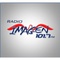 Radio Imagen 101.7 FM Logo