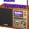 Radio Total Crazy Logo