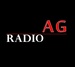 agvoice Logo