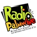 Radio Palmwine Logo