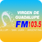 FM Virgen de Guadalupe Logo