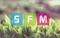 Rádio SFM Logo