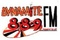 Dynamite 88.9 FM Logo