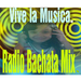 Radio Bachata Mix Logo